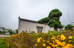 Beautiful Island Park