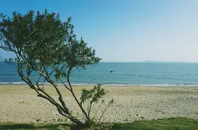 Huangcuo Beach