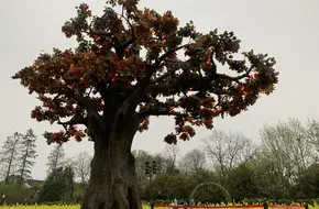 Hongyuan Echo