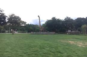Dinosaur Plateau