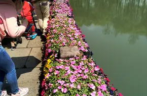 Yuanfu Bridge
