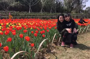 Liangzhu Mining Pit Adventure Park