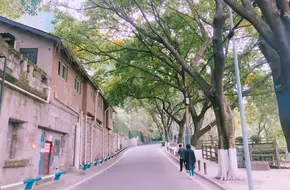 Three-Level Road