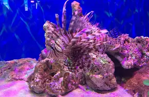Chongqing Happy Ocean World