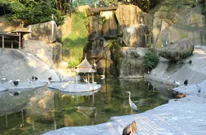 Gulang Island Bainiao Garden