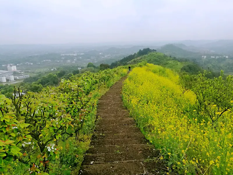 Jiufeng Mountain Scenic Area