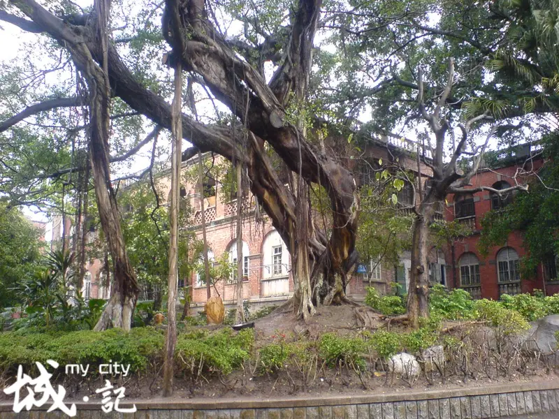 Fujian Road Old Buildings