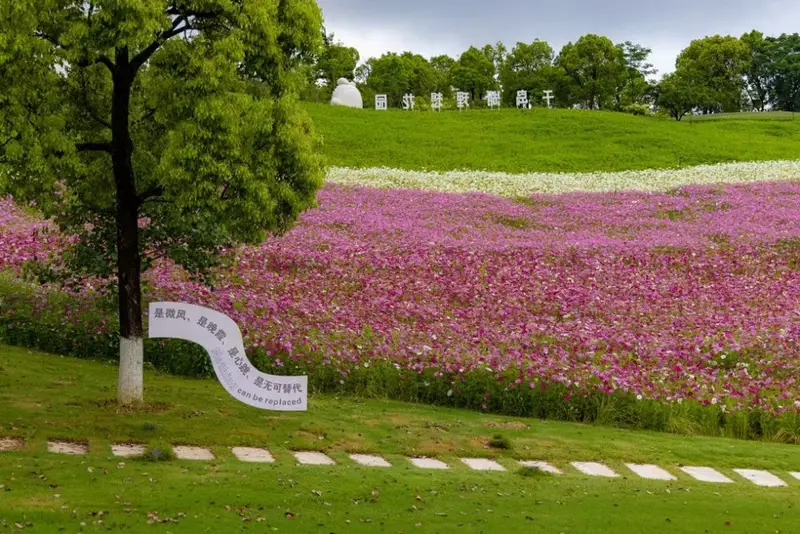 Thousand Island Lake Ideal Garden