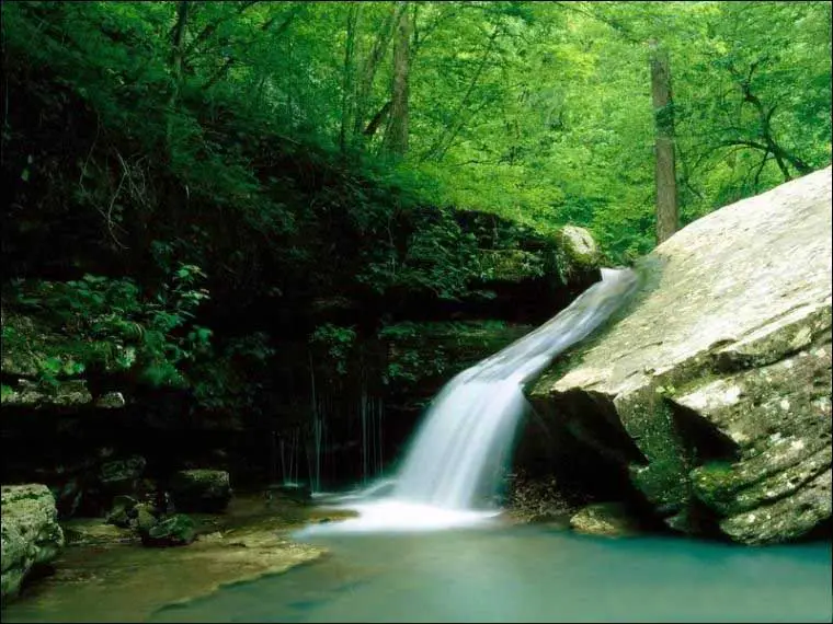 Dragon And Phoenix Stream Park