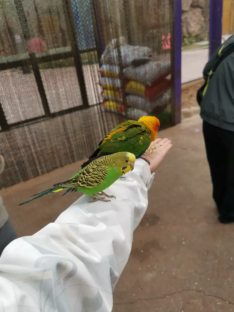 Xiamen Zoo