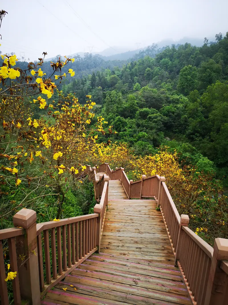 Liang'Er Reservoir