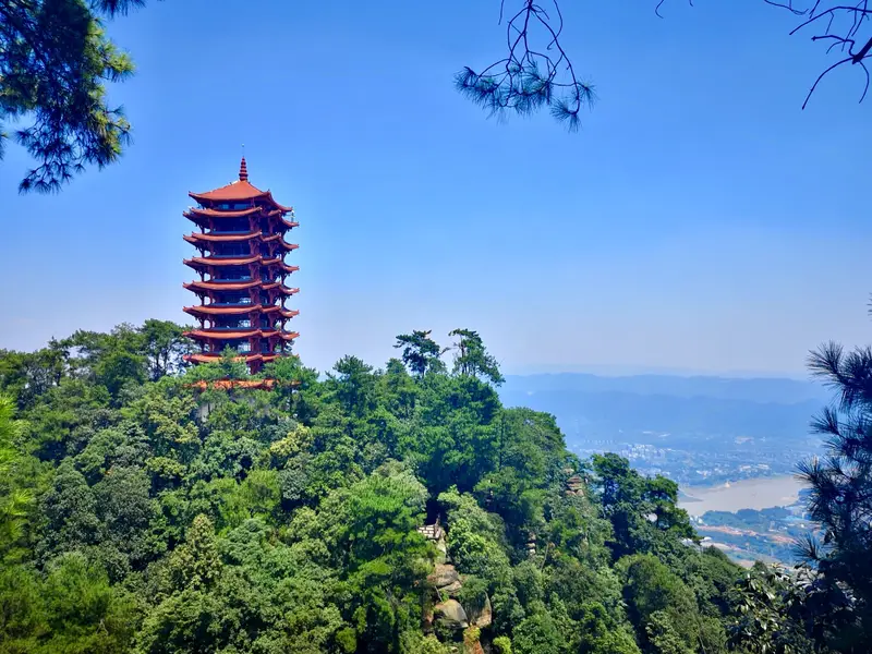 Chongqing Jinyun Mountain National Nature Reserve
