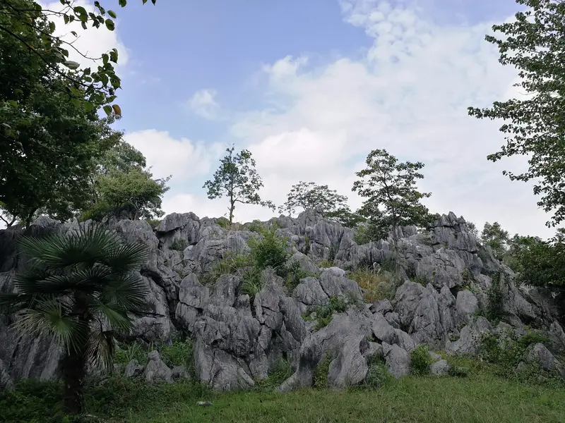 Thousand Island Lake Stone Forest Scenic Area