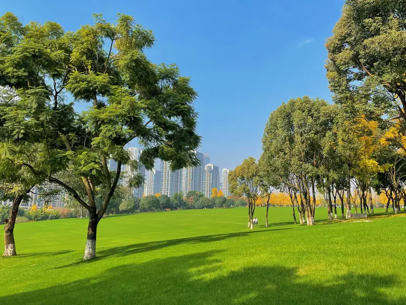 Chongqing Central Park