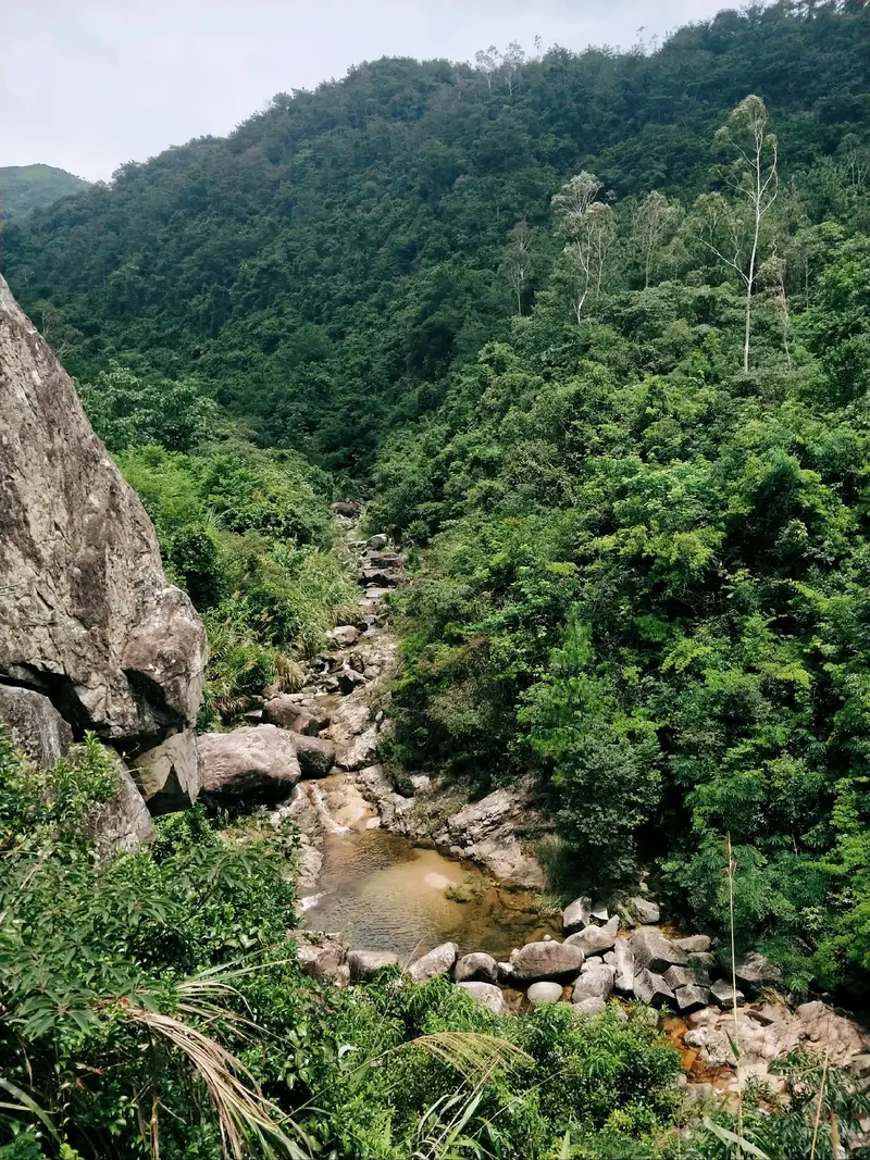 Zaoshui Village