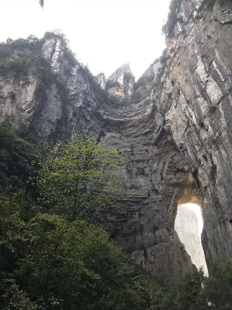 Mist Spring