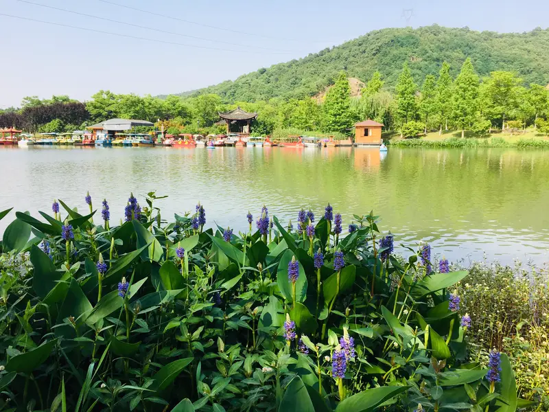 Xianghu Tourist Resort Shiyanshan Ship Dock