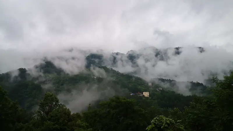 Guangdong Po Forest Park