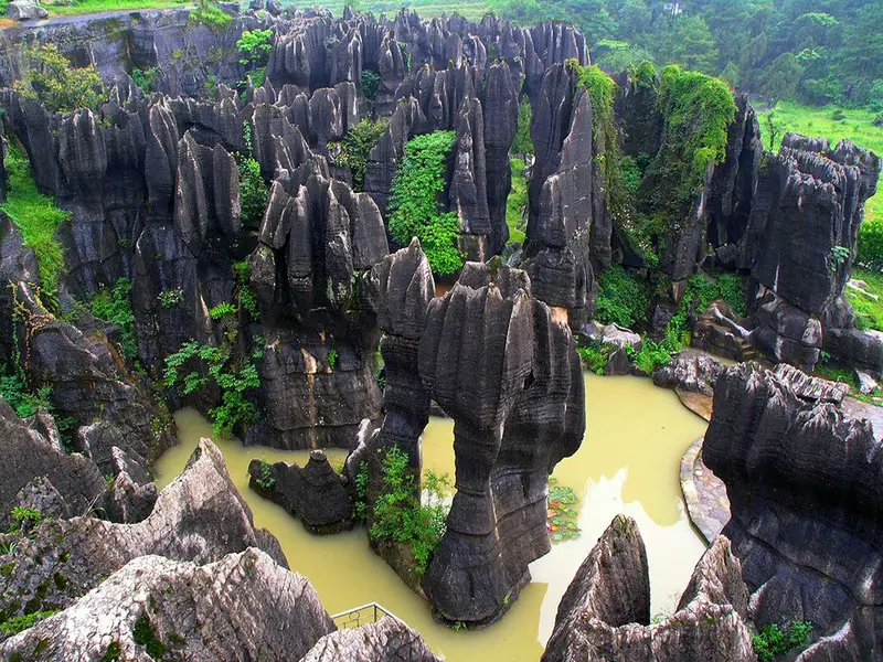 Wansheng Stone Forest Scenic Area