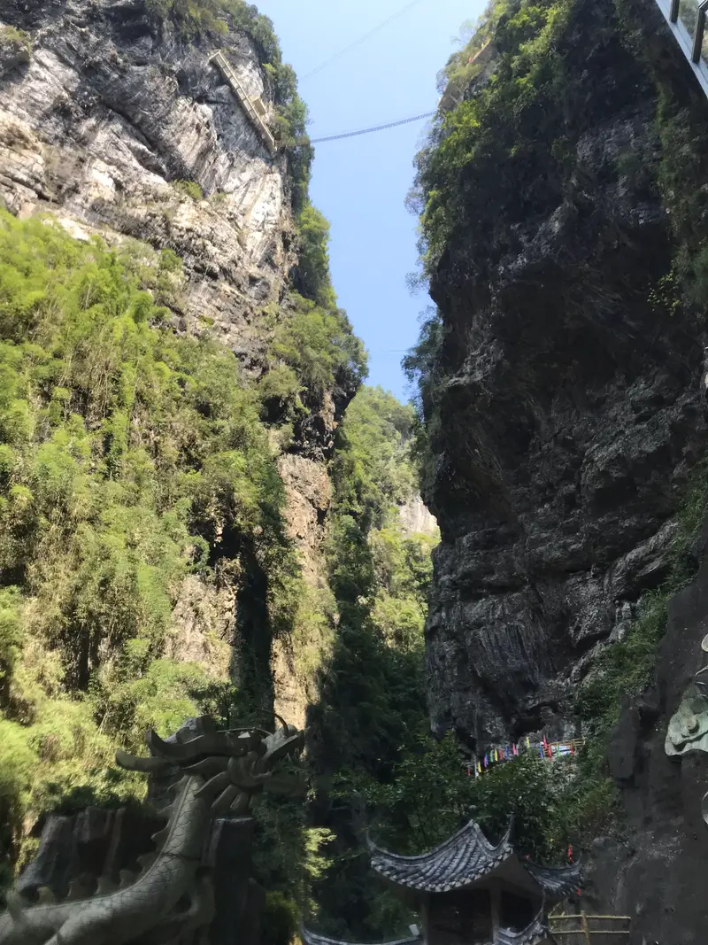 Rainbow Ladder