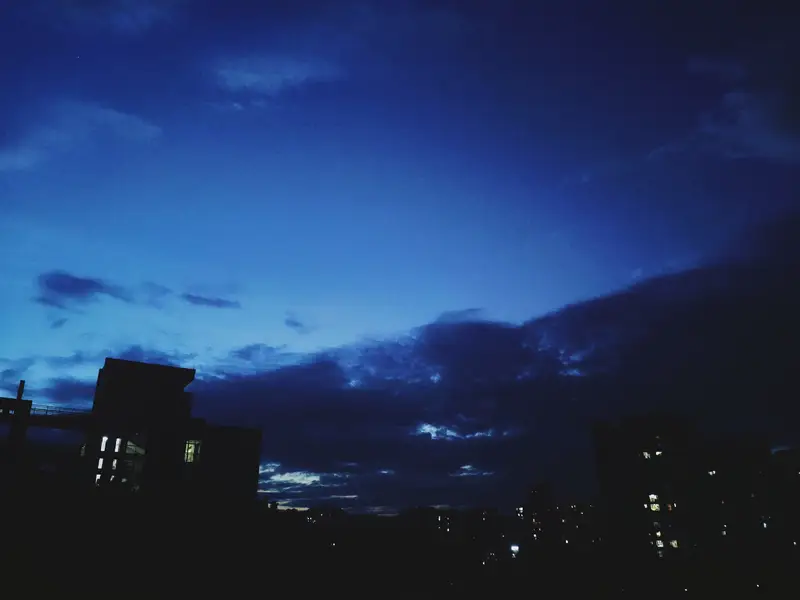 Chongqing City Management College