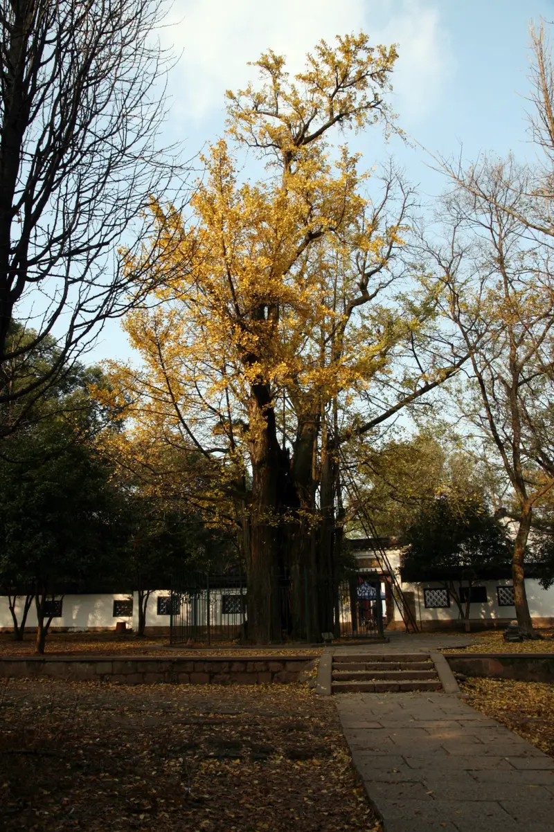 Wuyun Mountain