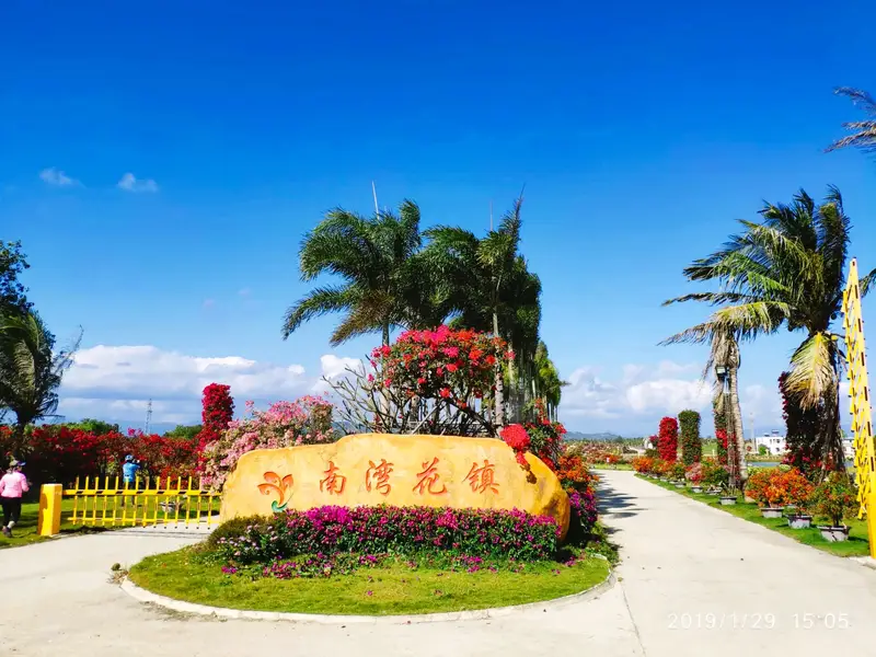South Bay Flower Town