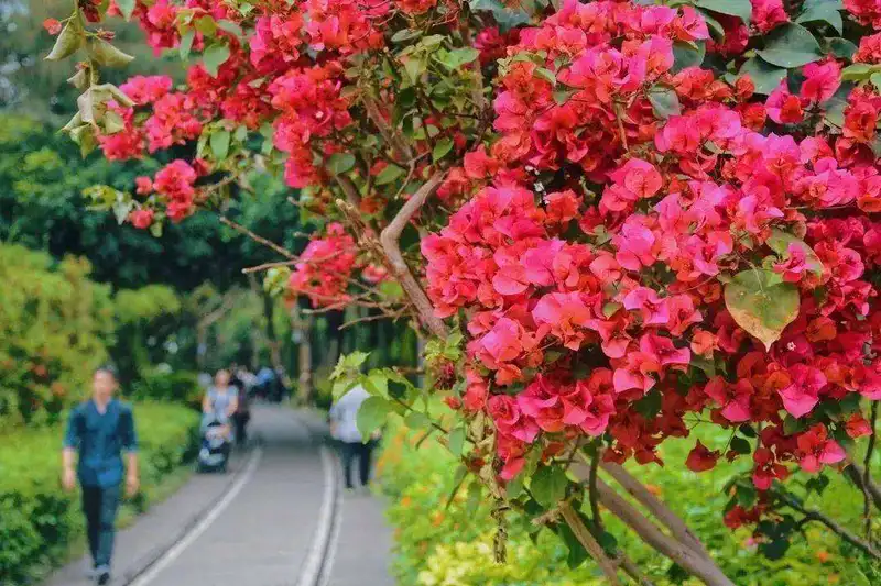Railway Culture Park