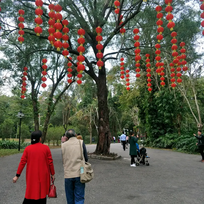 Lianhua Mountain