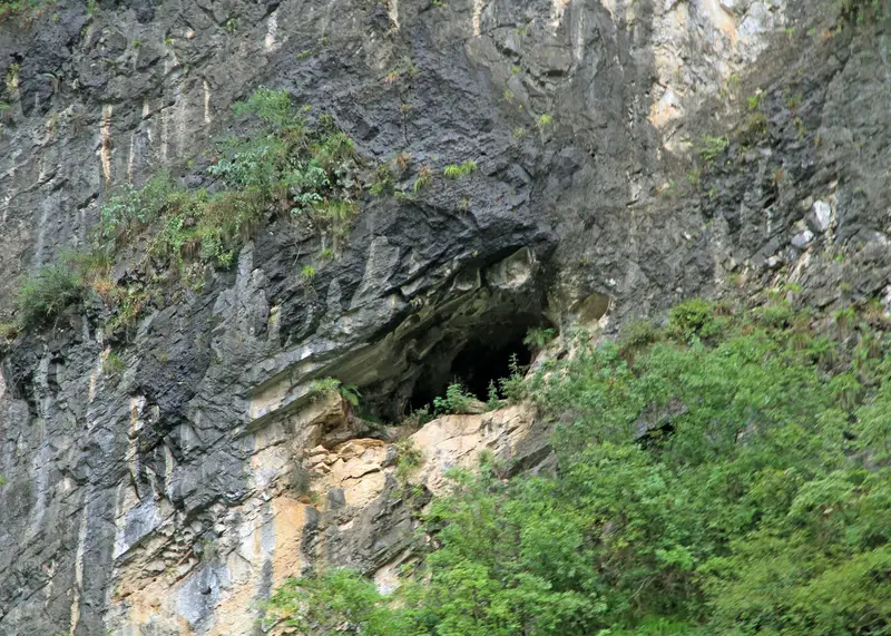 Hanging Coffins
