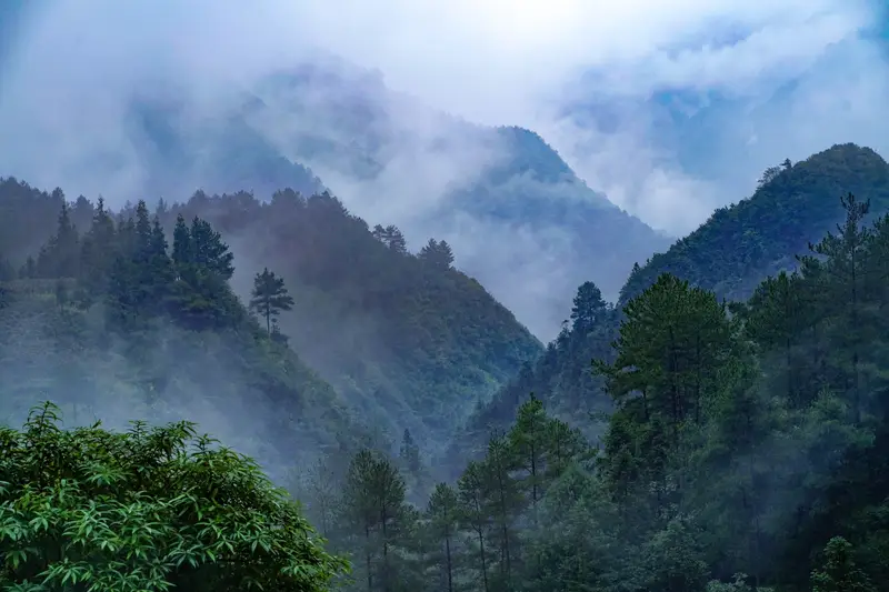Black Valley