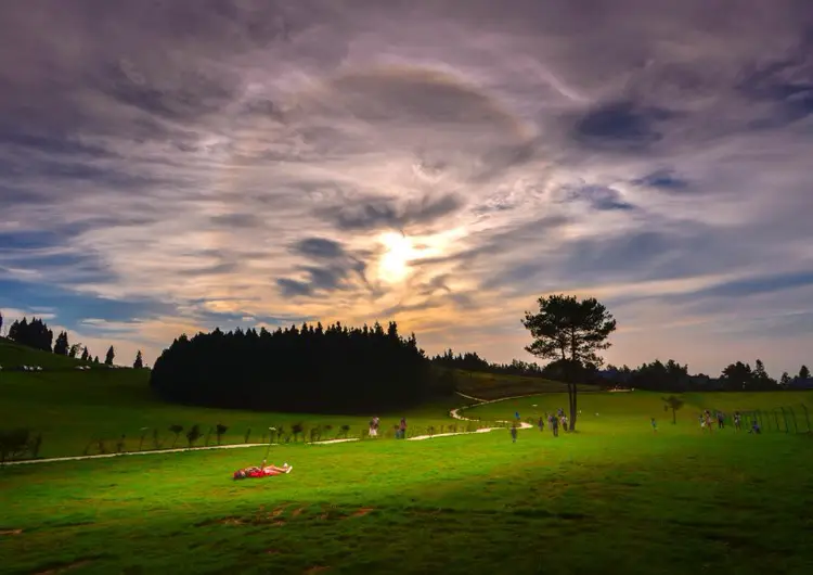 Qishan Grassland