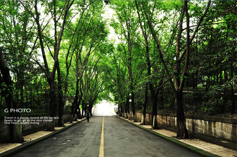Southwest University Of Political Science And Law （South Gate）