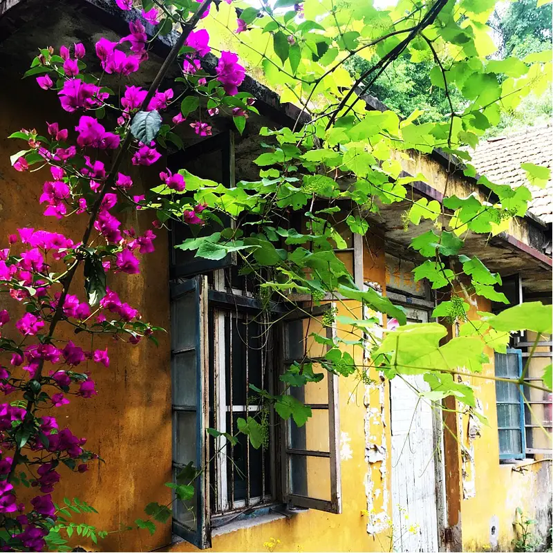 Yu Tai Shan Park