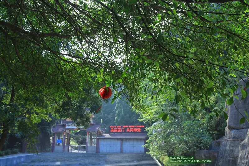 Xiaoping Forest Park Of Xiamen