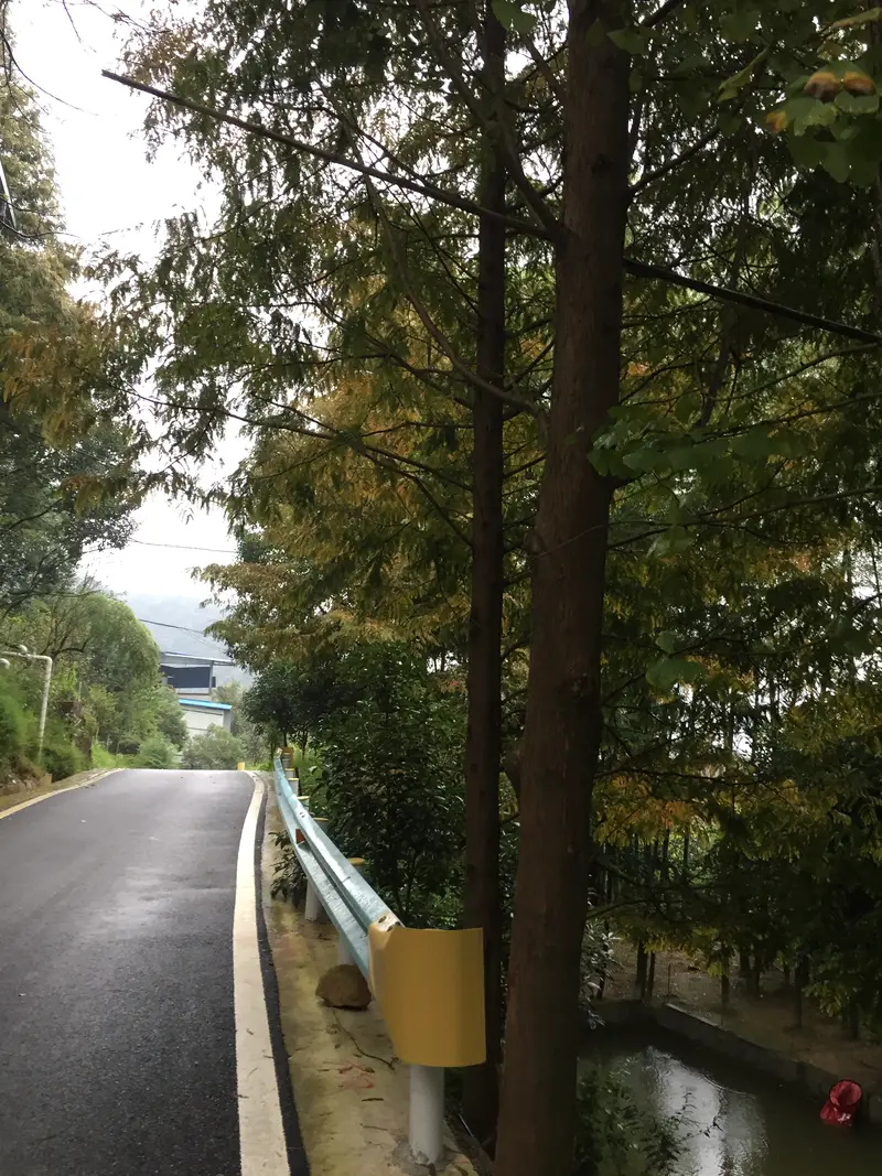 Lianshun Villa