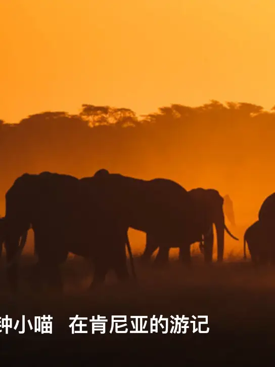 Hangzhou Zoo & Wildlife World - African Savanna