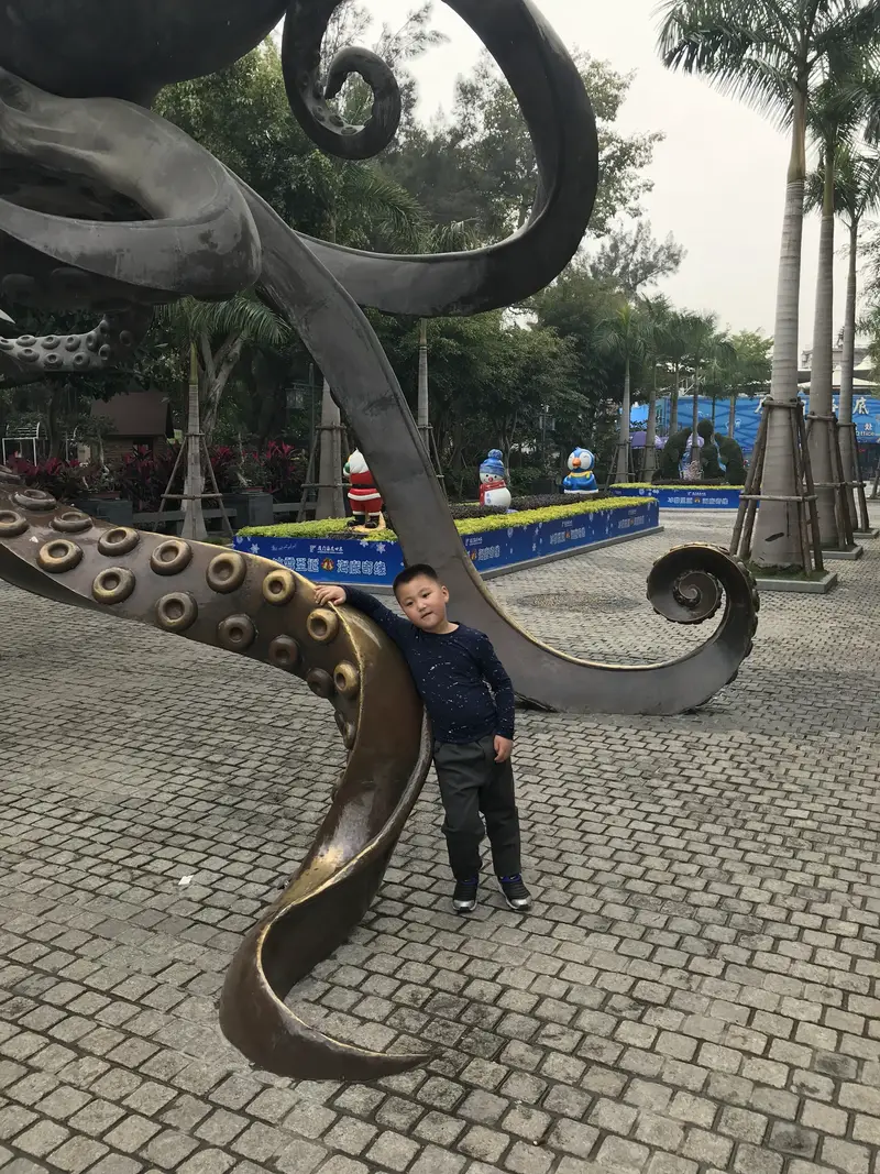 Octopus