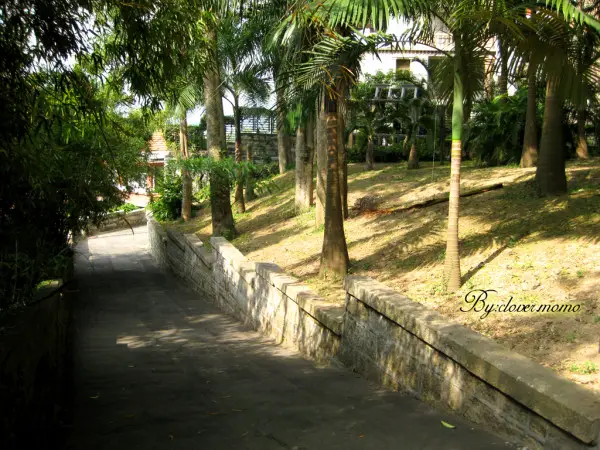 Bishan Park
