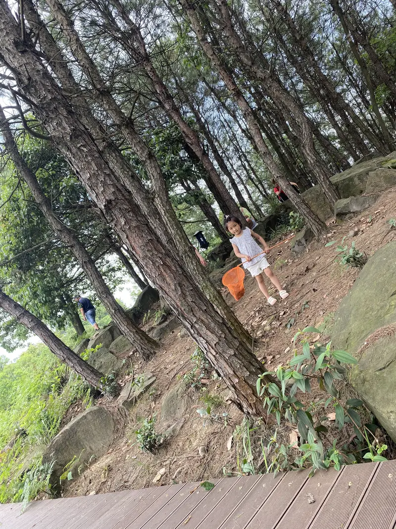 Pangyi Blueberry World