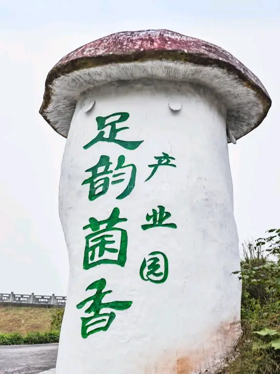 Zuyun Mushroom Fragrance Picking Garden