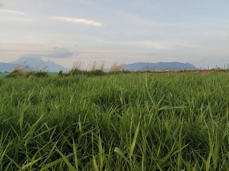 Wenhua Village