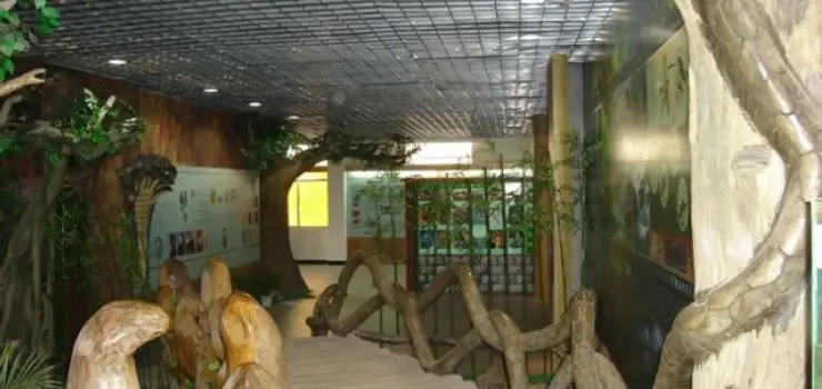 Wuyi Snake Exhibition Garden