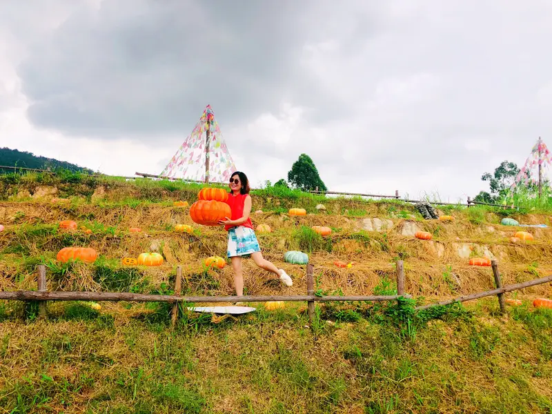 Jinnong Bay Experiential Farm