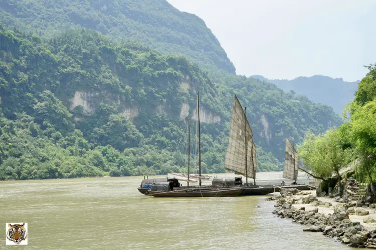 Xiling Gorge Peach Blossom Land
