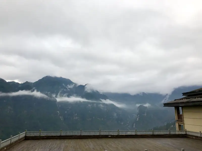 Ancient Ginkgo Garden