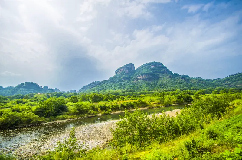 Wuyi Tea Expo Garden