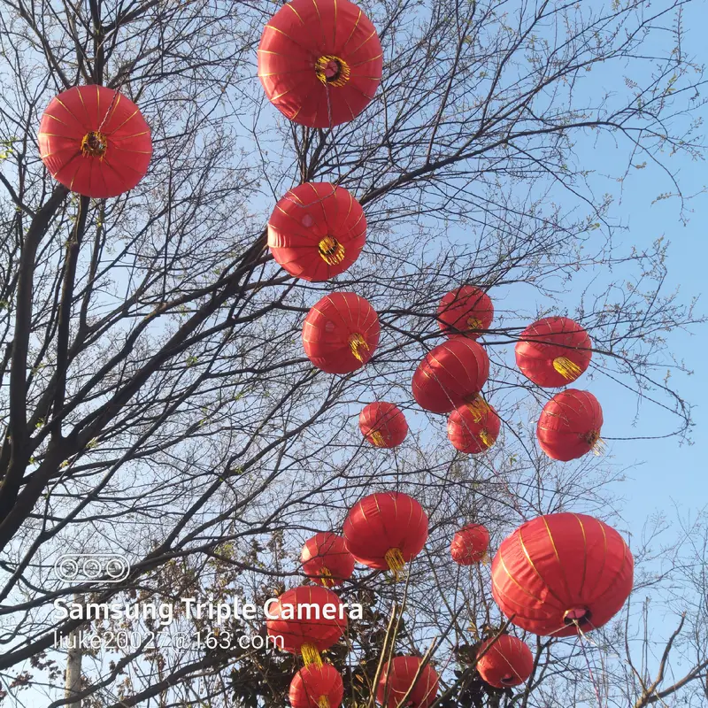 Dong Yue Sports Park
