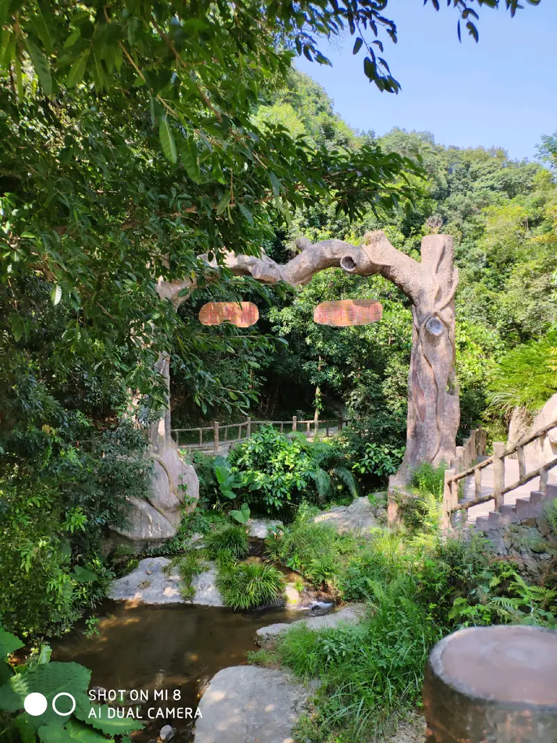 Jin Guang Lake