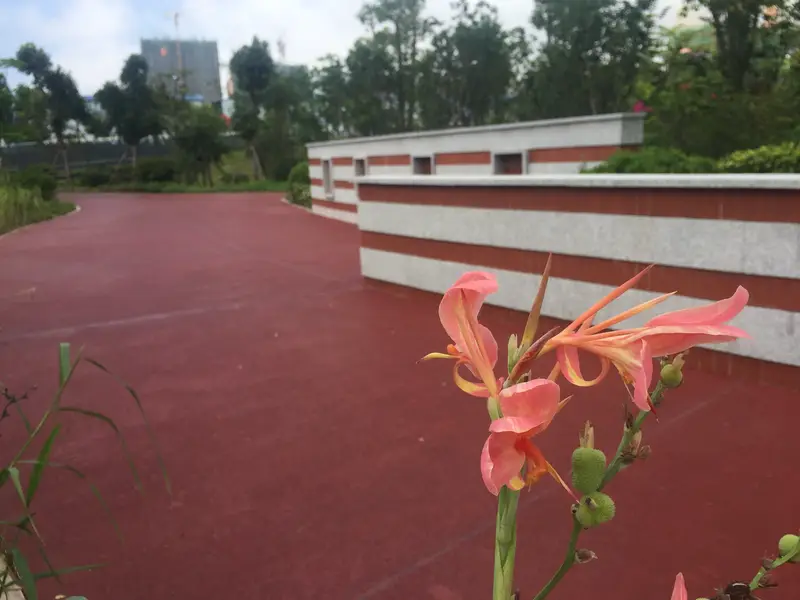 Dongshan Water System Park